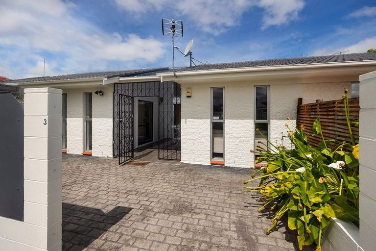 Photo of property in 3/3 Patterson Street, Sandringham, Auckland, 1041