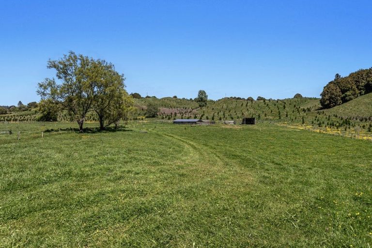 Photo of property in 414 Matahi Road, Rotoma, Whakatane, 3194
