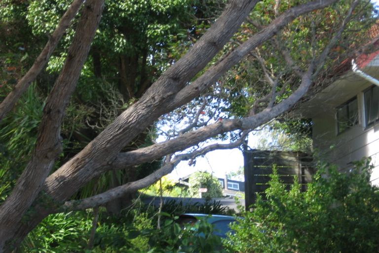 Photo of property in 45 Brigantine Drive, Beach Haven, Auckland, 0626