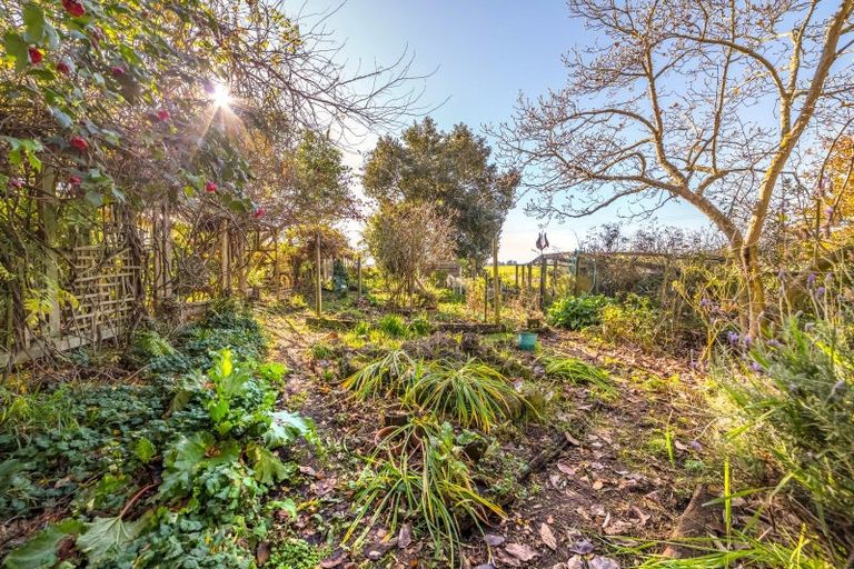 Photo of property in 595 Wards Line, Morison Bush, Greytown, 5794