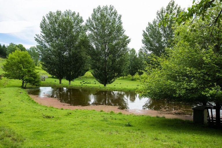 Photo of property in 102 Ormond Valley Road, Ormond, Gisborne, 4071