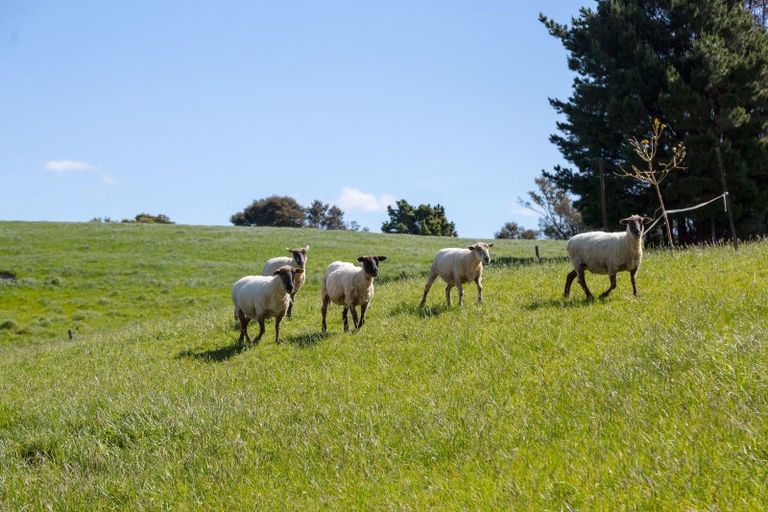 Photo of property in 91 Chester Park Drive, West Taratahi, Carterton, 5791