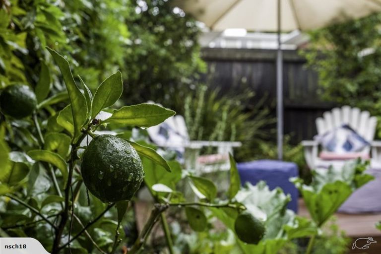 Photo of property in 4/42 Sheridan Drive, New Lynn, Auckland, 0600