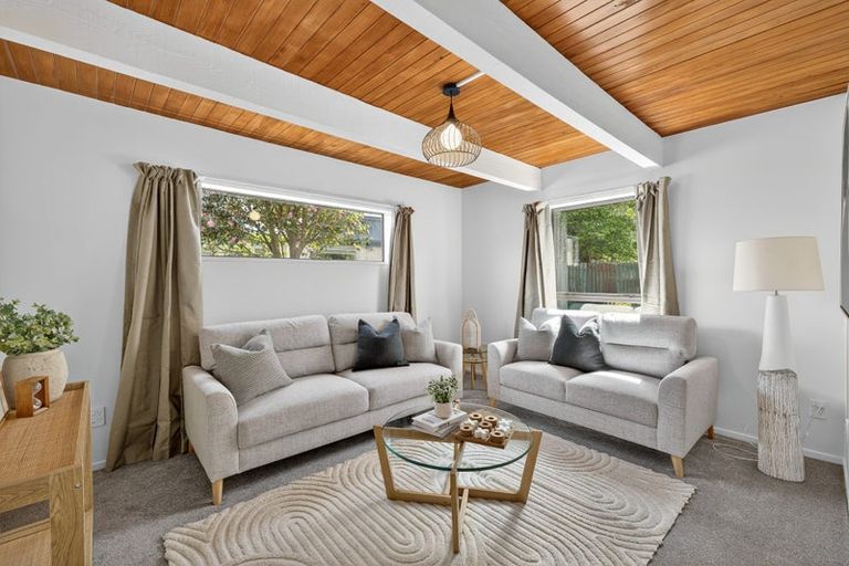 Photo of property in 3a Amstel Lane, Richmond, Christchurch, 8013