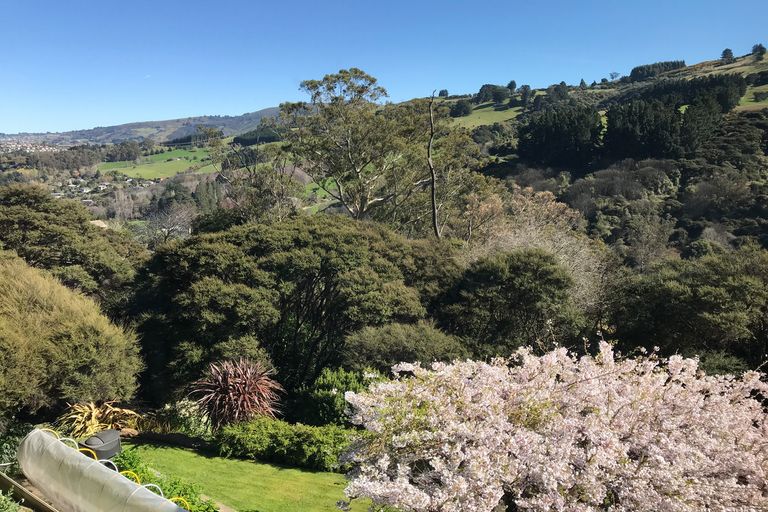 Photo of property in 8 Ribbonwood Close, Normanby, Dunedin, 9010