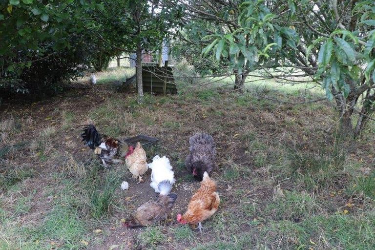 Photo of property in 883 Te Akau Road, Te Akau, Ngaruawahia, 3793