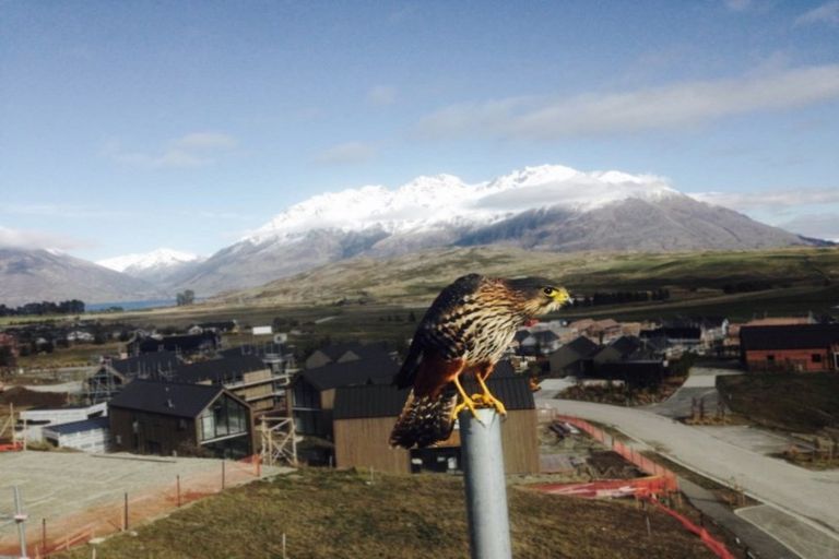 Photo of property in 21 Falconer Rise, Jacks Point, Queenstown, 9371