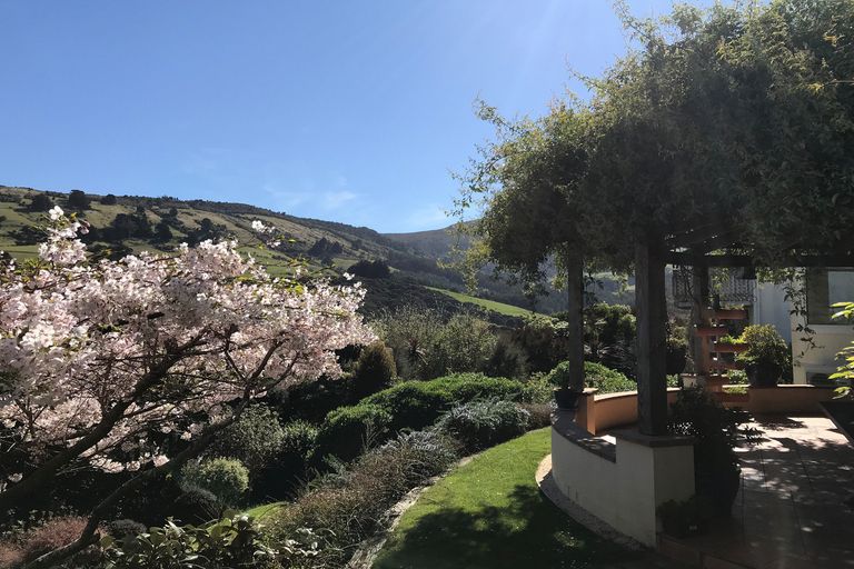 Photo of property in 8 Ribbonwood Close, Normanby, Dunedin, 9010