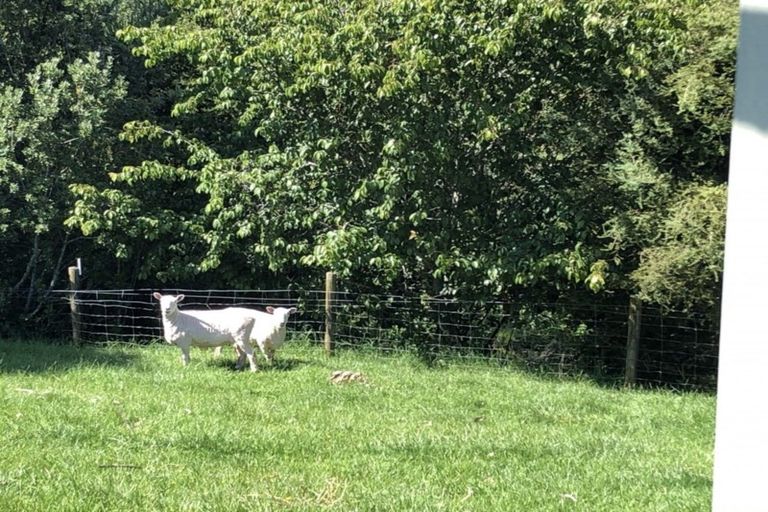 Photo of property in 26 Whangarata Road, Tuakau, 2121