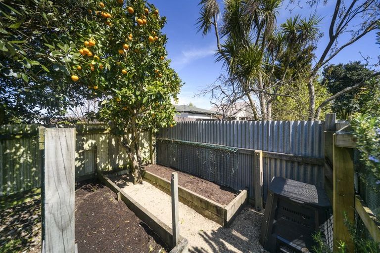 Photo of property in 18 Webb Street, Terrace End, Palmerston North, 4410
