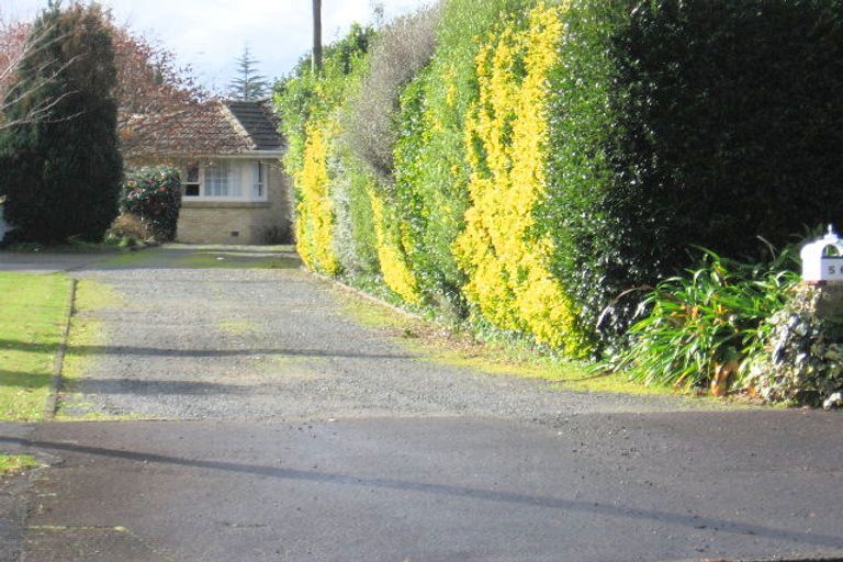 Photo of property in 52 Queenwood Avenue, Queenwood, Hamilton, 3210