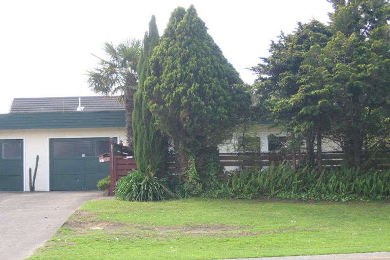 Photo of property in 3b Fifteenth Avenue, Tauranga South, Tauranga, 3112