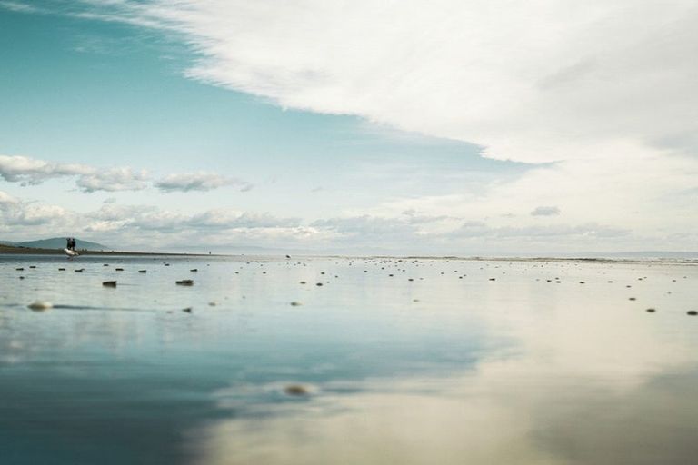 Photo of property in 205 Rocking Horse Road, Southshore, Christchurch, 8062