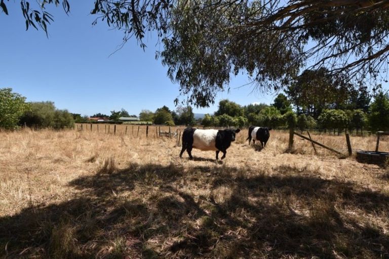 Photo of property in 75 Costley Street West, Carterton, 5713