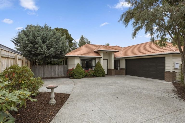 Photo of property in 784a Fergusson Drive, Elderslea, Upper Hutt, 5018