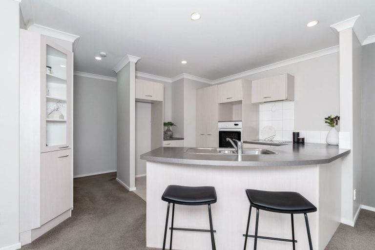 Photo of property in 438d Tristram Street, Whitiora, Hamilton, 3200