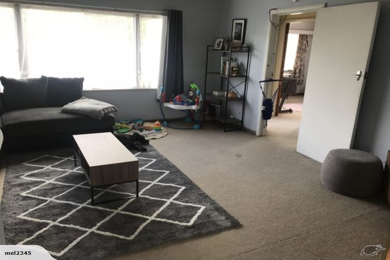 Photo of property in 19 Doran Street, Richmond, 7020