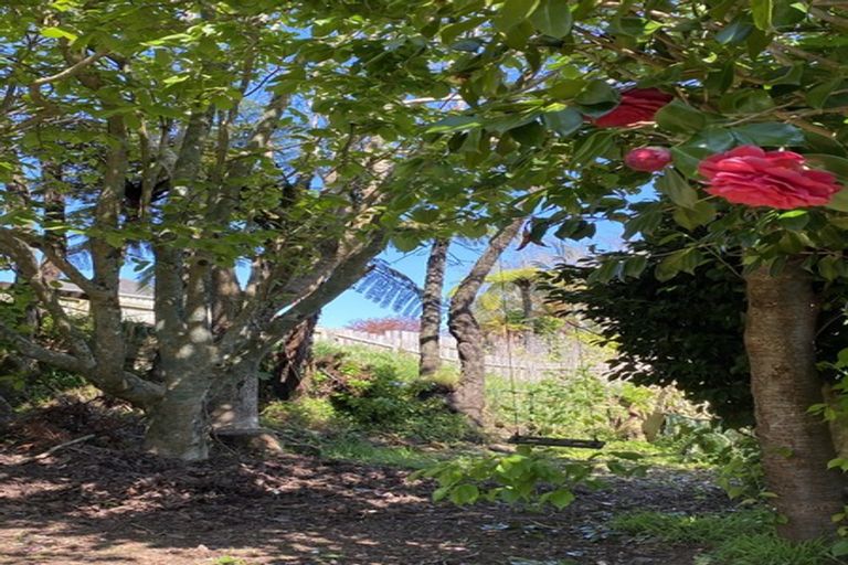 Photo of property in 63 Parsons Street, Frankleigh Park, New Plymouth, 4310