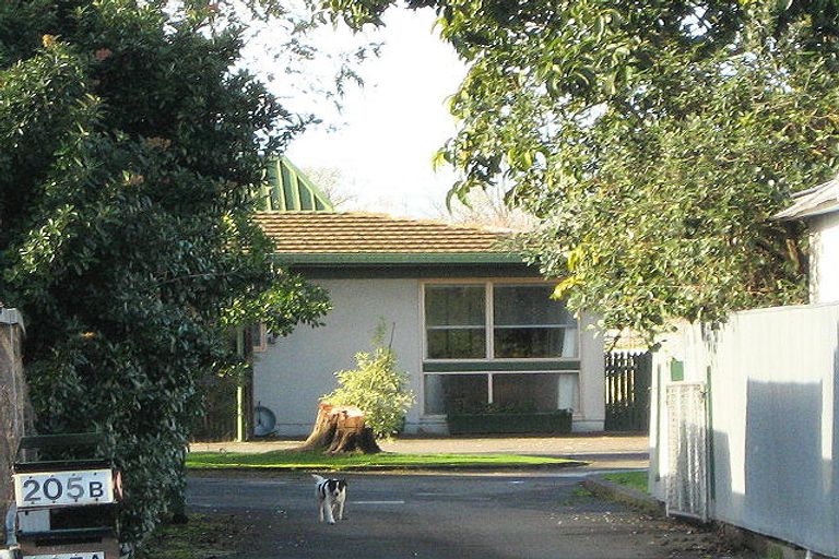 Photo of property in 205b Gascoigne Street, Raureka, Hastings, 4120