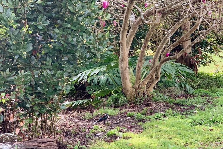 Photo of property in 7 Enid Avenue, Kaitaia, 0410