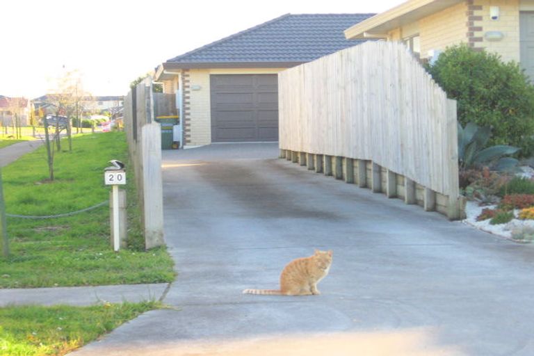 Photo of property in 20 Feeny Crescent, East Tamaki, Auckland, 2013