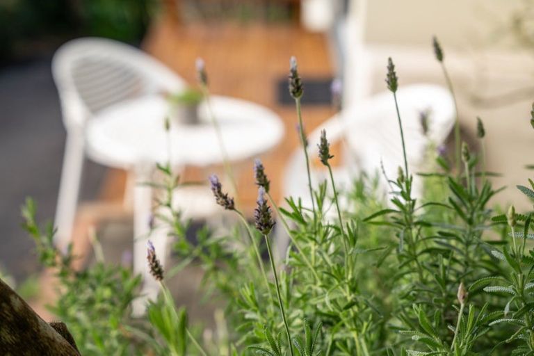 Photo of property in 1/24 Patanga Crescent, Thorndon, Wellington, 6011