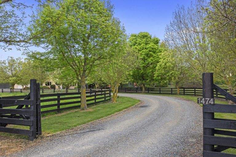Photo of property in 1474 Tram Road, Swannanoa, Rangiora, 7475