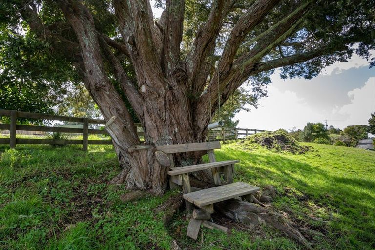 Photo of property in 745b Waikino Road, Karetu, Kawakawa, 0283