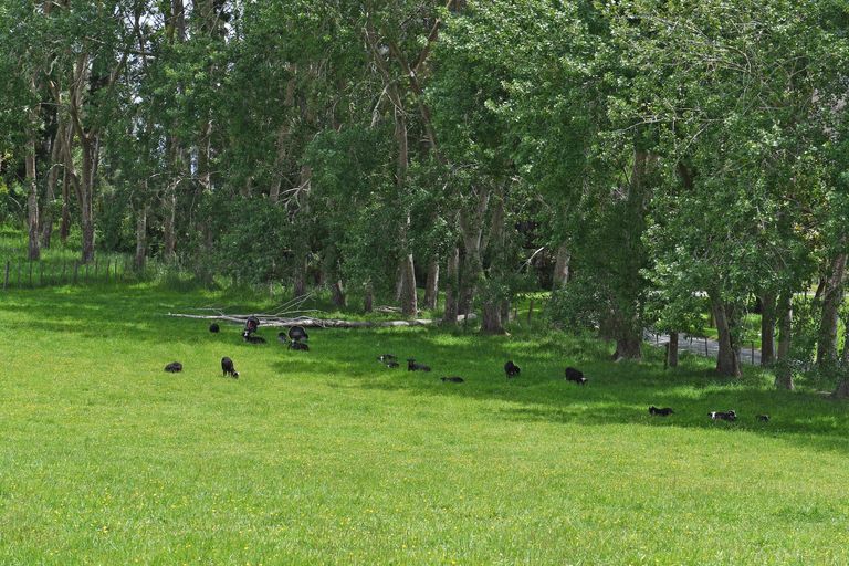 Photo of property in 56 Wattle Lane, Kaiwaka, 0573