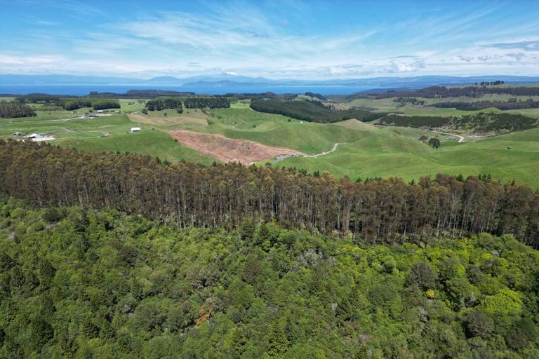 Photo of property in 1401 Whangamata Road, Marotiri, Taupo, 3377