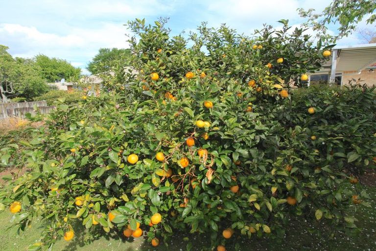 Photo of property in 14 Tongariro Street, Chartwell, Hamilton, 3210