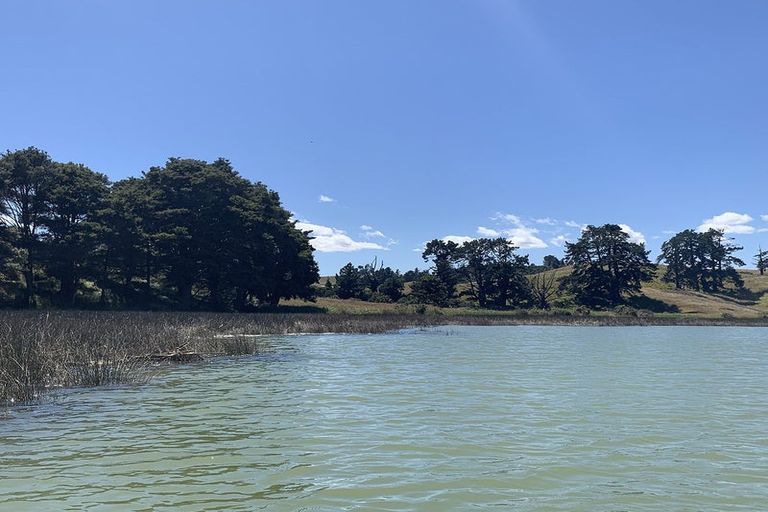 Photo of property in 4435 State Highway 31, Oparau, Te Awamutu, 3878