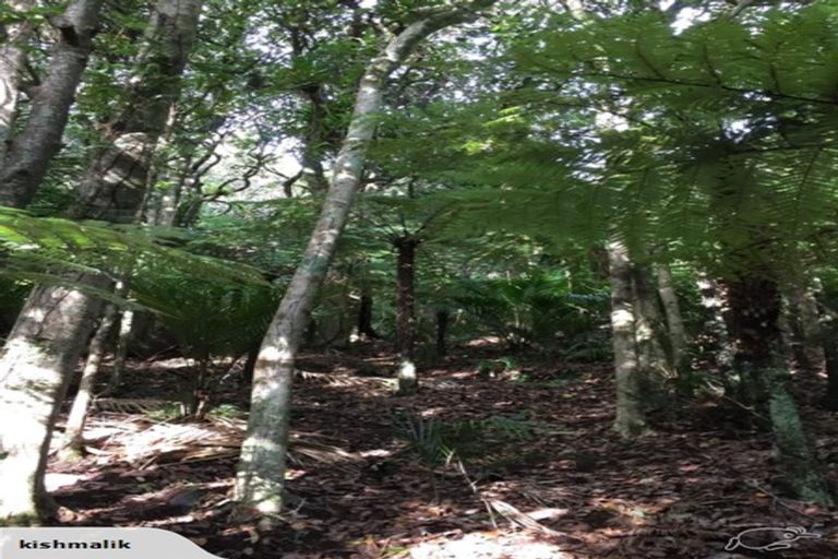 Photo of property in 16 Waikarekare Lane, Karekare, Auckland, 0772