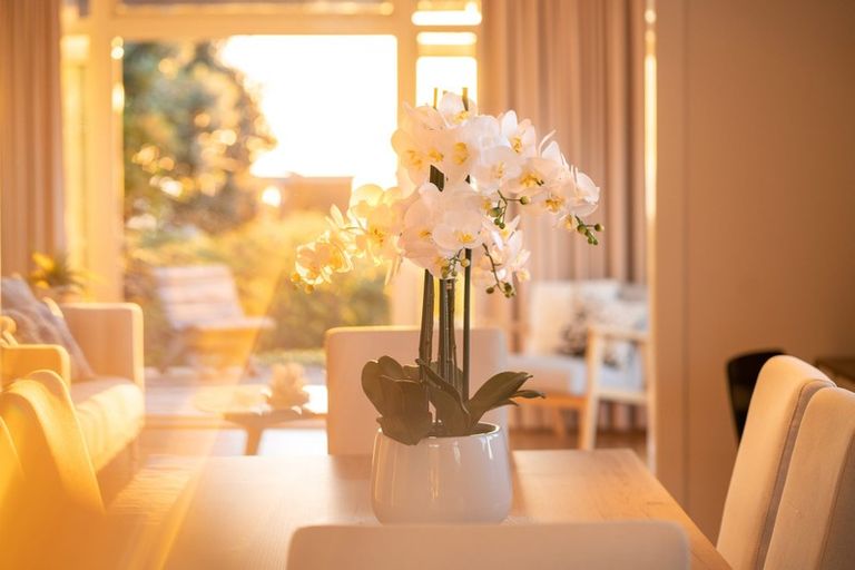 Photo of property in 36 Aperahama Street, Paekakariki, 5034