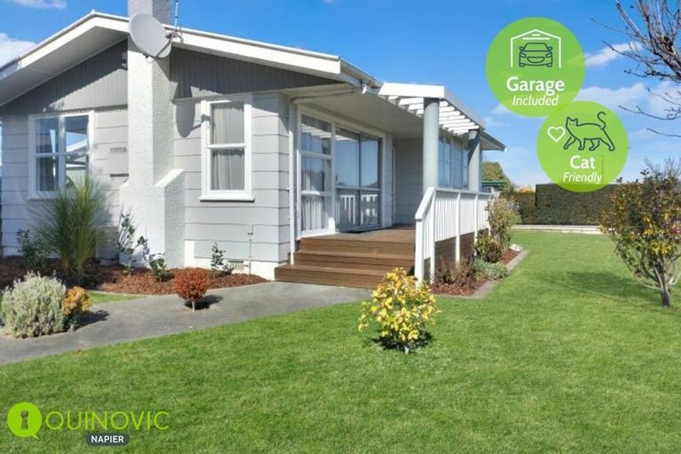 Photo of property in 147 Westminster Avenue, Tamatea, Napier, 4112