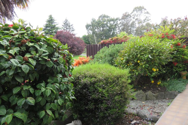 Photo of property in 115 Domain Avenue, Temuka, 7920