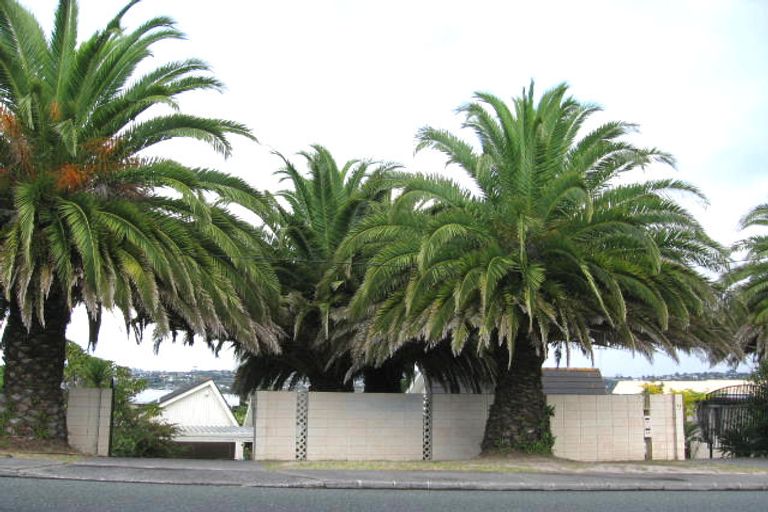 Photo of property in 9 Firth Road, Torbay, Auckland, 0630