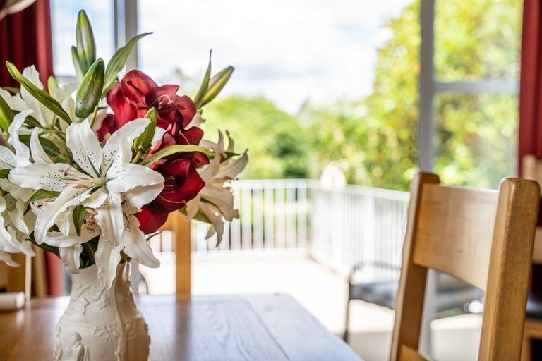 Photo of property in 17 Johnsview Terrace, Hillcrest, Hamilton, 3216