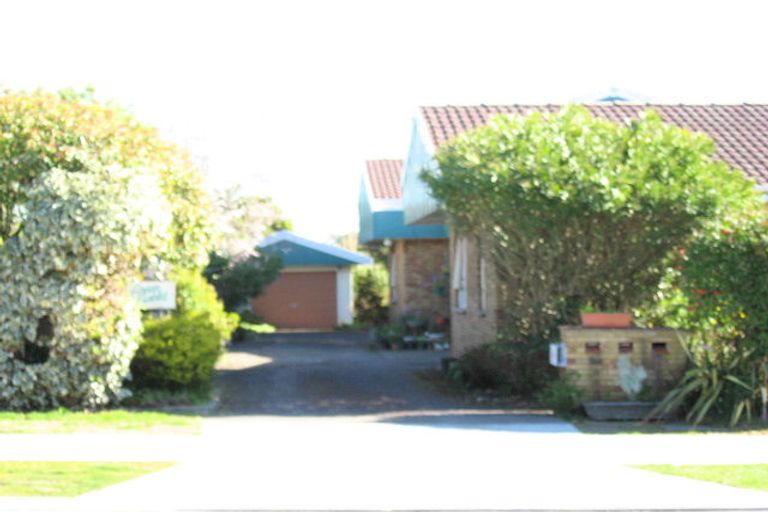 Photo of property in 1/6 Lindsay Street, Havelock North, 4130