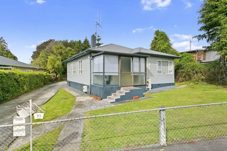 Photo of property in 73 Tirau Street, Putaruru, 3411