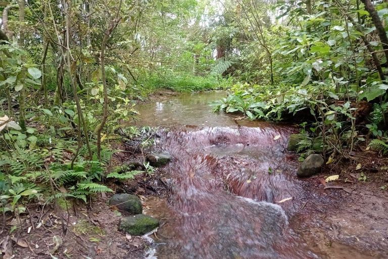 Photo of property in 43 Margaret Street, Shannon, 4821