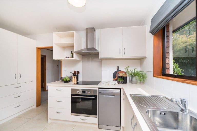 Photo of property in 3a Marne Street, Hokowhitu, Palmerston North, 4410