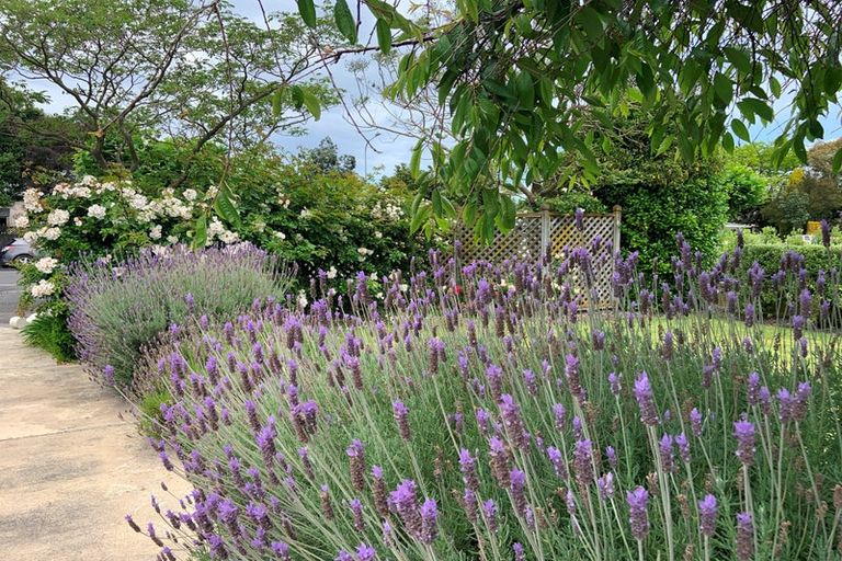 Photo of property in 142 Nelson Crescent, Napier South, Napier, 4110