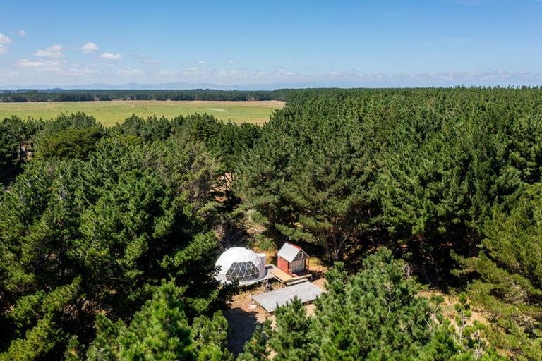 Photo of property in 97 Tangimoana Beach Road, Tangimoana, 4473