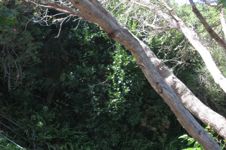 Photo of property in 47 Brigantine Drive, Beach Haven, Auckland, 0626