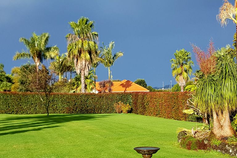 Photo of property in 40 Blue Marlin Drive, Kerikeri, 0230