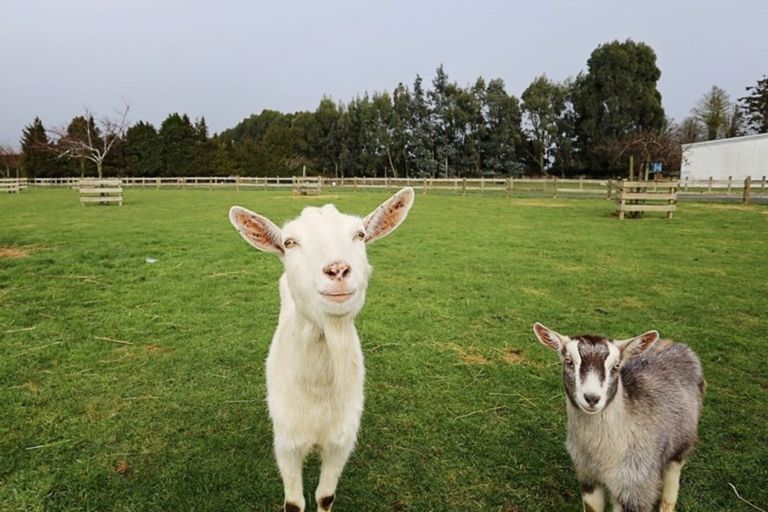 Photo of property in 141 Breeze Road, Ryal Bush, Invercargill, 9876