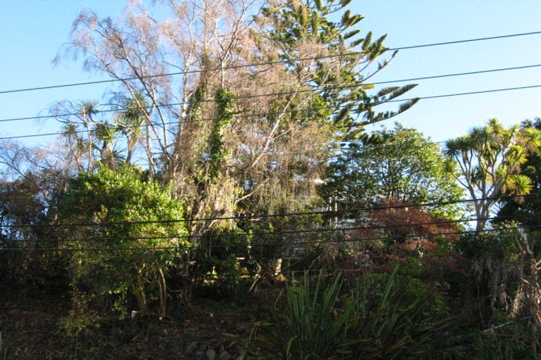 Photo of property in 8 Queen Street, North Dunedin, Dunedin, 9016