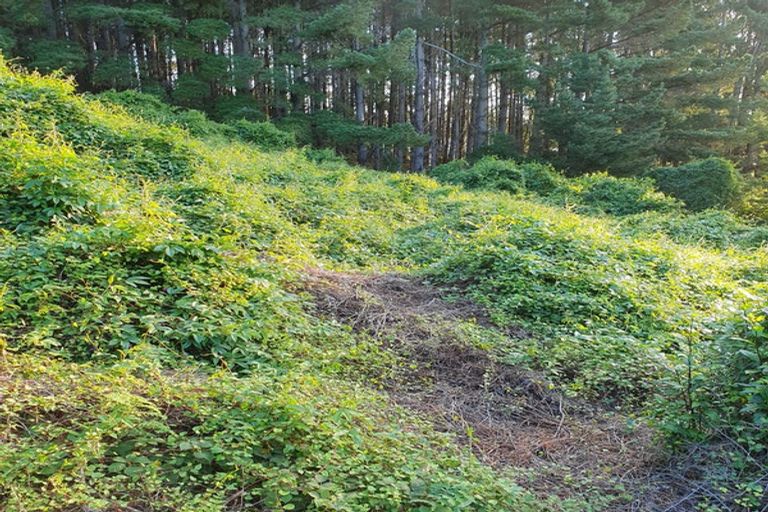 Photo of property in 44 Waikana Street, Broad Bay, Dunedin, 9014