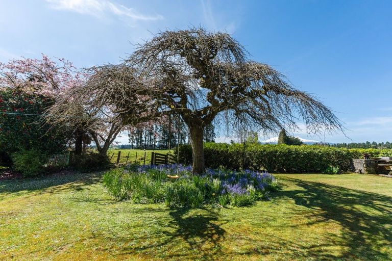 Photo of property in 262 Raetihi Ohura Road, Raetihi, 4696